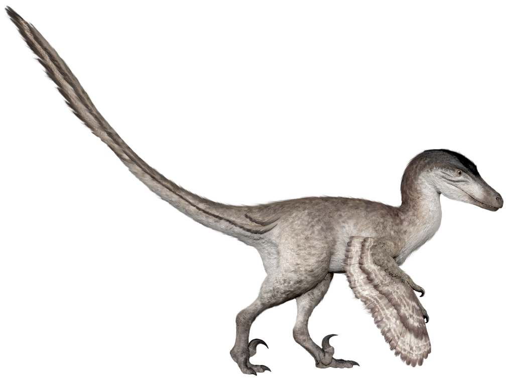 1亿年前恐龙留下一串脚印，科学家测出了它的时速