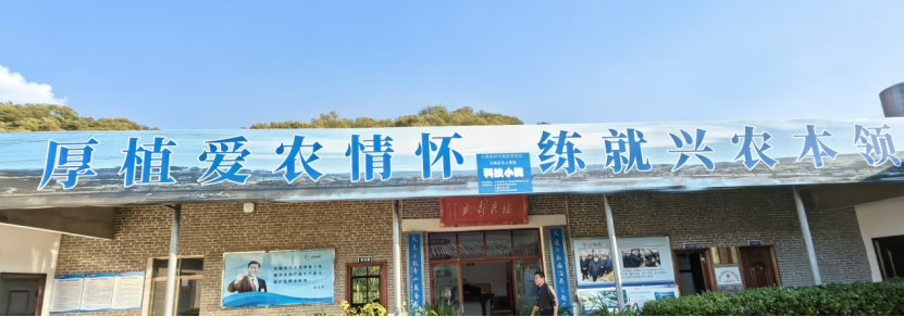 【智惠农民】鱼儿游进论文里，云南宜良土著鱼科技小院走在探索保护与开发的和谐之路