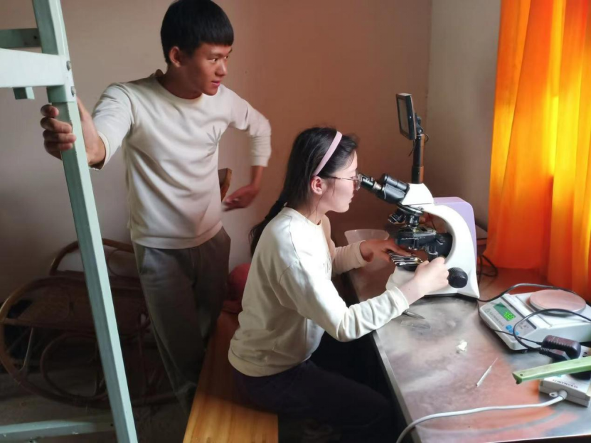 【智惠农民】鱼儿游进论文里，云南宜良土著鱼科技小院走在探索保护与开发的和谐之路