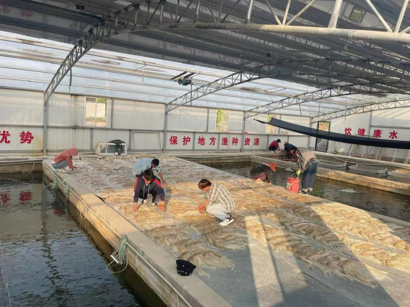 【智惠农民】鱼儿游进论文里，云南宜良土著鱼科技小院走在探索保护与开发的和谐之路