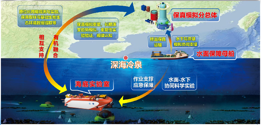 国家重大科技基础设施冷泉生态系统研究装置全面启动建设