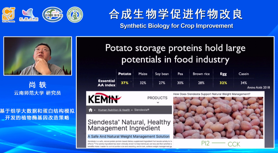 合成生物学如何为作物改良助攻？科学家们这么干