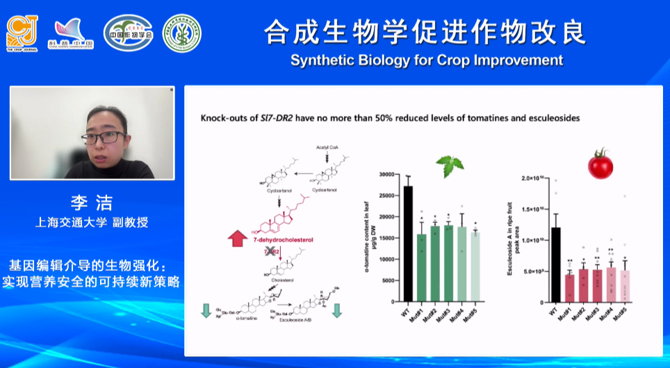 合成生物学如何为作物改良助攻？科学家们这么干