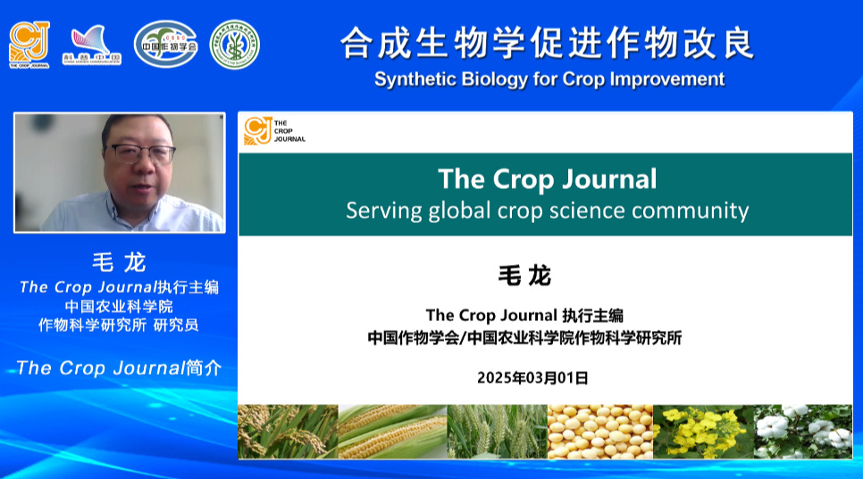 合成生物学如何为作物改良助攻？科学家们这么干