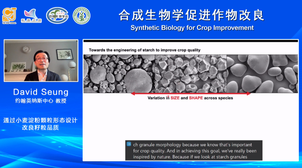 合成生物学如何为作物改良助攻？科学家们这么干