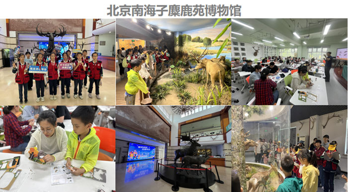 北京经开区“科技馆之城”国际博物馆日、中国旅游日专场活动举办