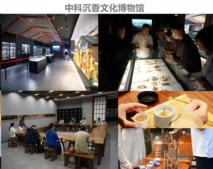 北京经开区“科技馆之城”国际博物馆日、中国旅游日专场活动举办