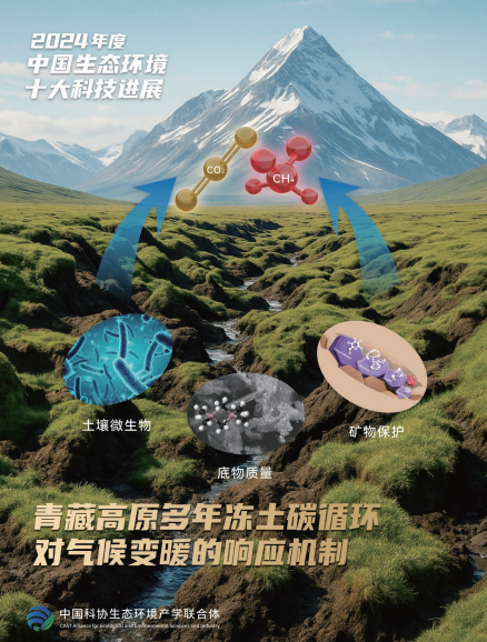 2024年度中国生态环境十大科技进展发布