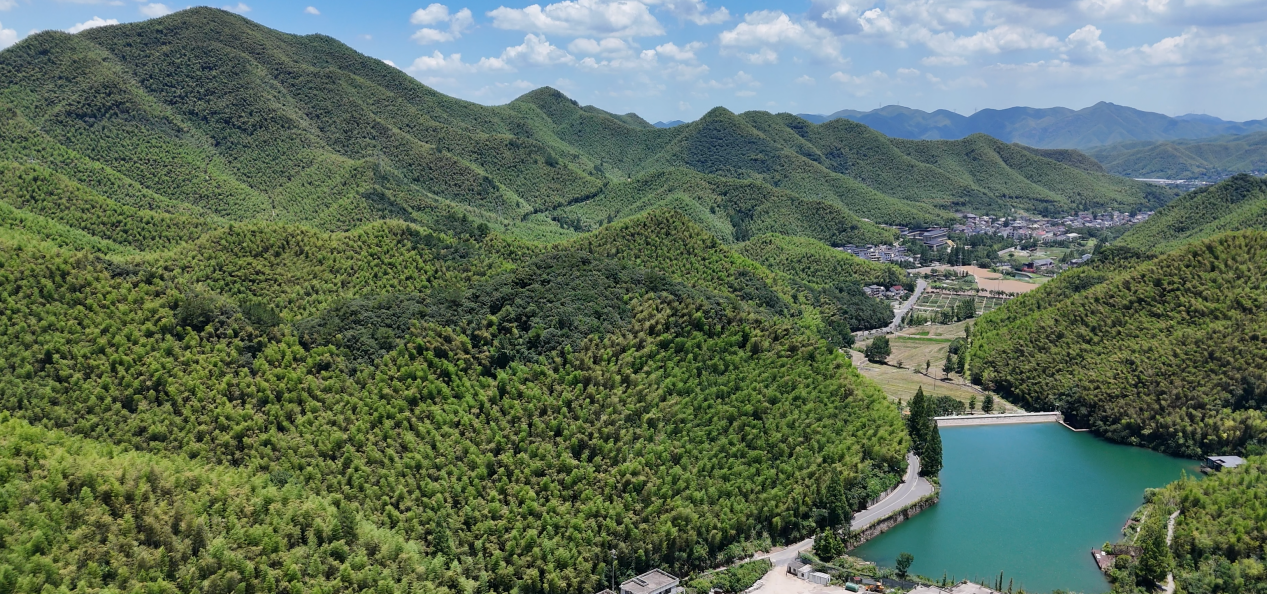 绿水青山“瞰”中国｜浙江安吉：一竿翠竹撑起美丽经济