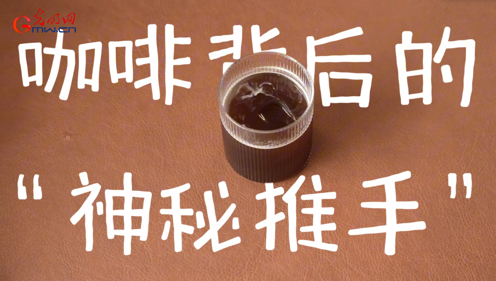 行行出状元 | 咖啡加工工刘霁莹：咖啡背后的“神秘推手”