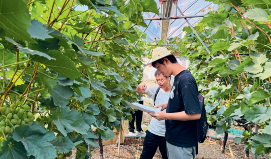中国农业大学：乡土先锋行 “阅”享稼穑情