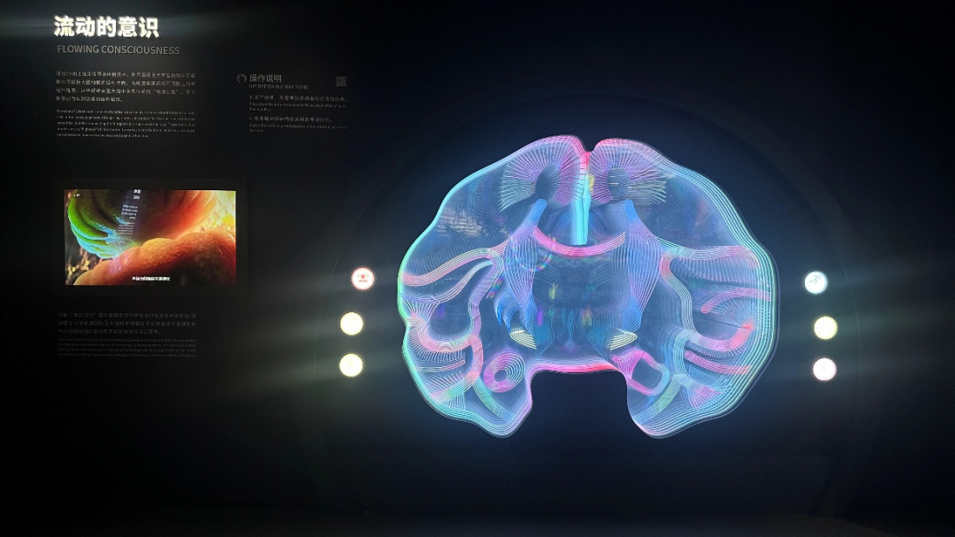 车窗上的雨滴形状 让科学家“画”出了大脑神经纤维地图