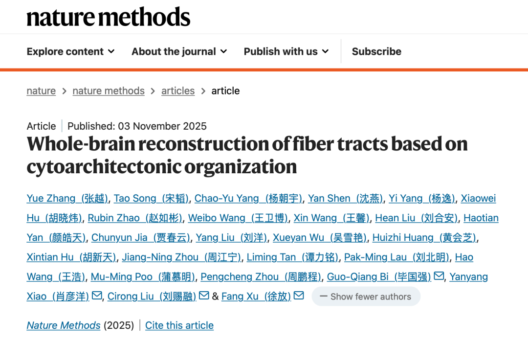 车窗上的雨滴形状 让科学家“画”出了大脑神经纤维地图