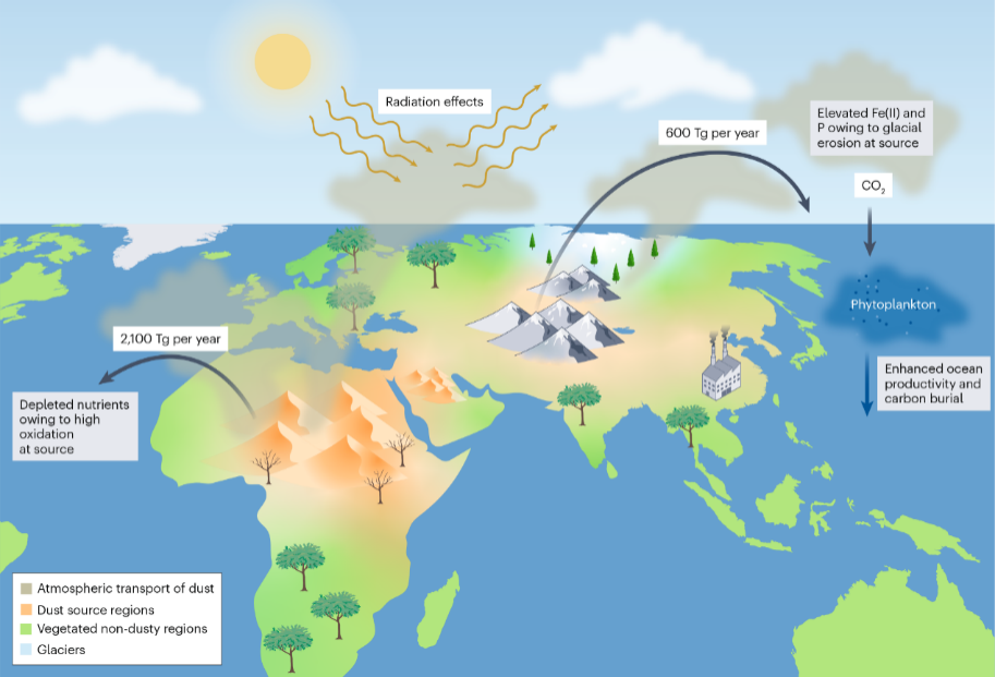 风吹来的不只是沙！来自干旱地区的粉尘也能给海洋“施肥”