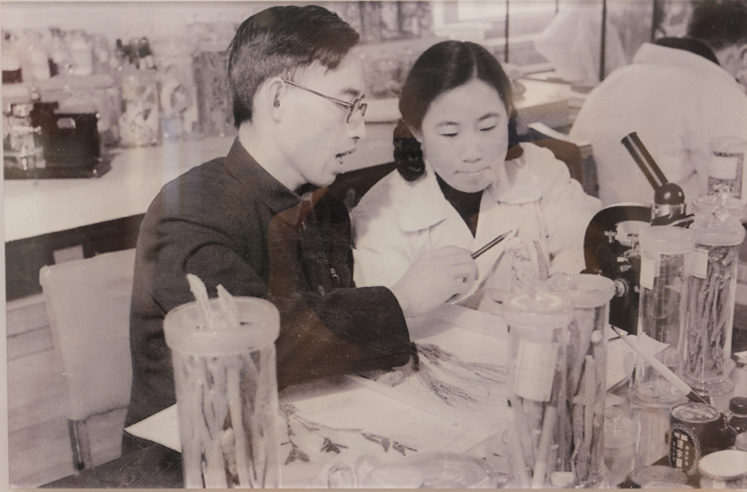 科学薪火丨我有责任第一个试药——屠呦呦的科研抉择