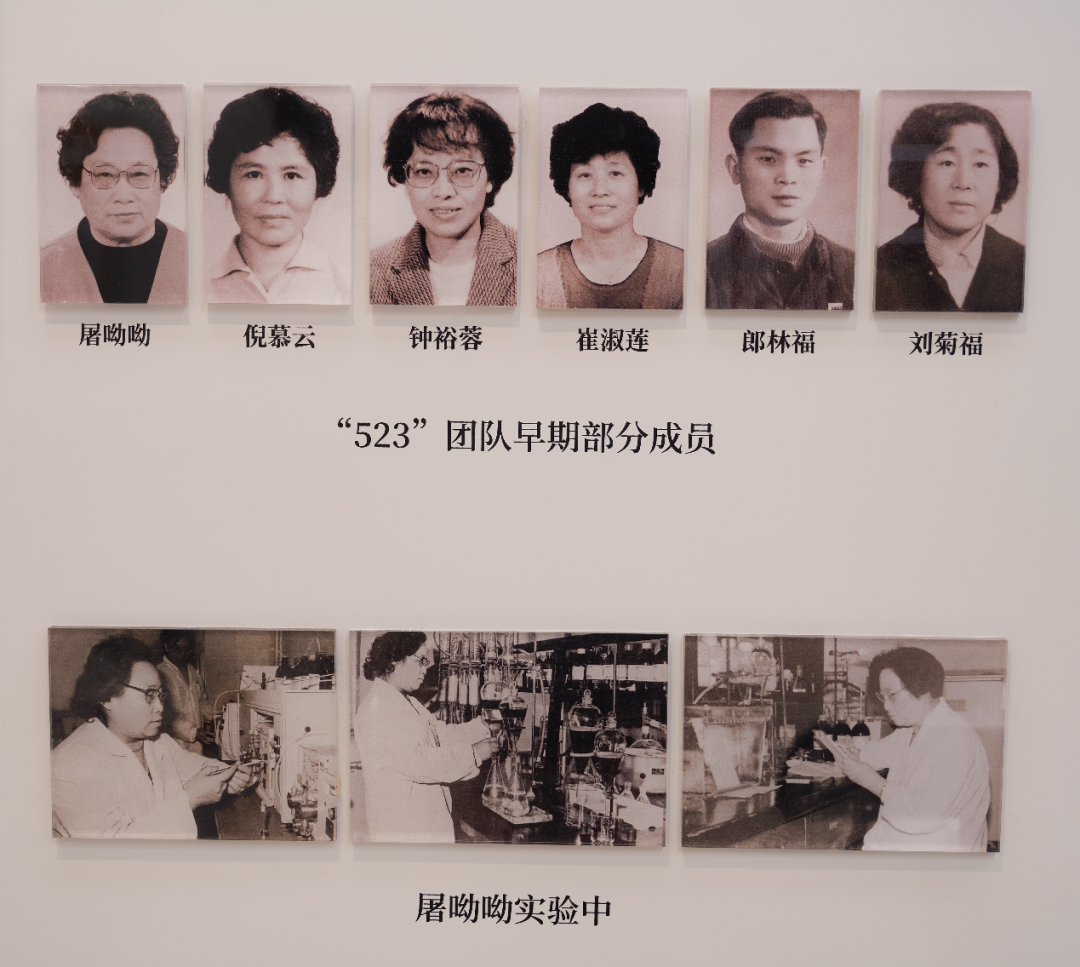 科学薪火丨我有责任第一个试药——屠呦呦的科研抉择