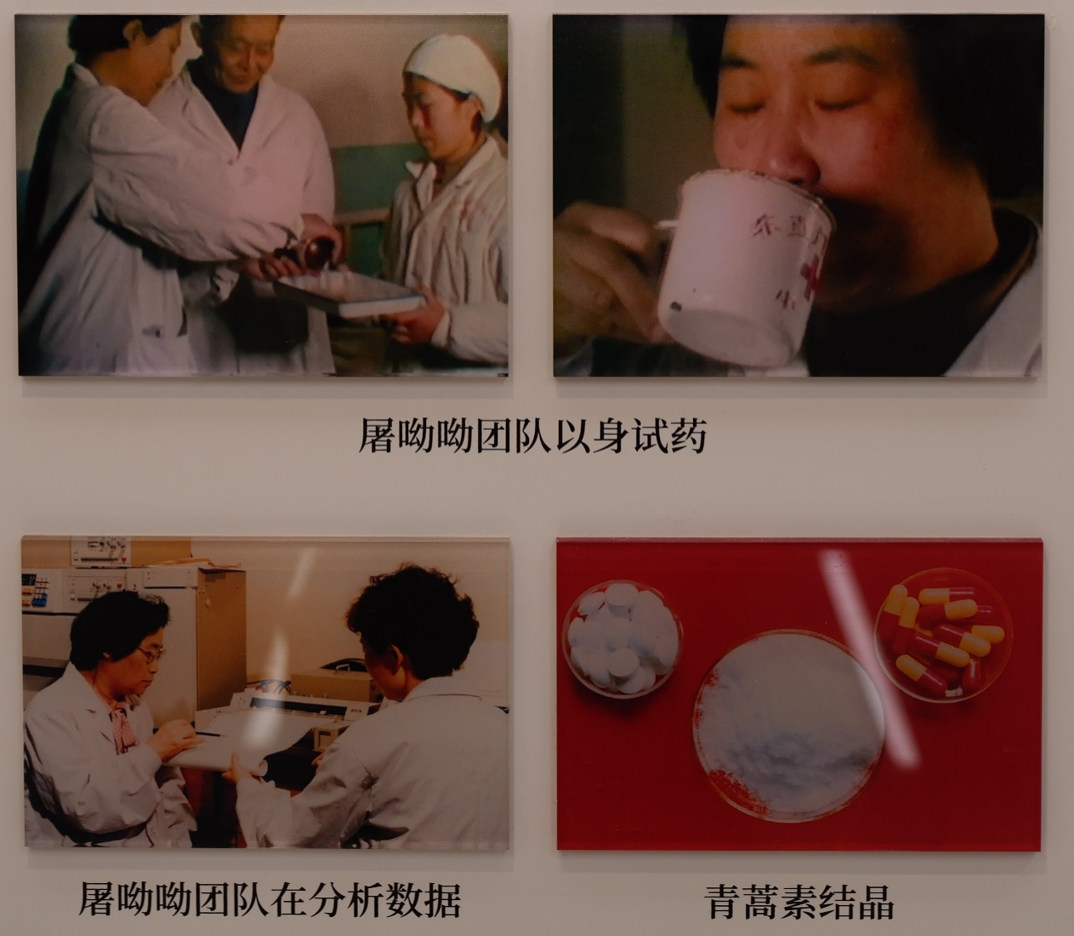 科学薪火丨我有责任第一个试药——屠呦呦的科研抉择