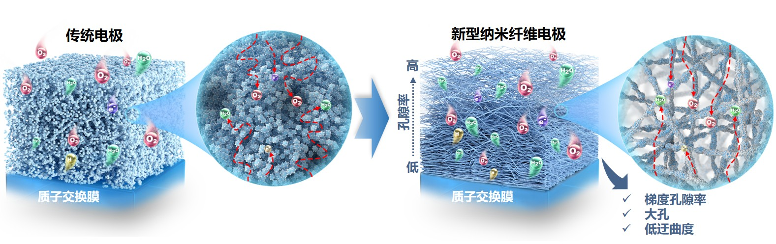 仿“蚕丝”织出氢燃料电池电极新结构