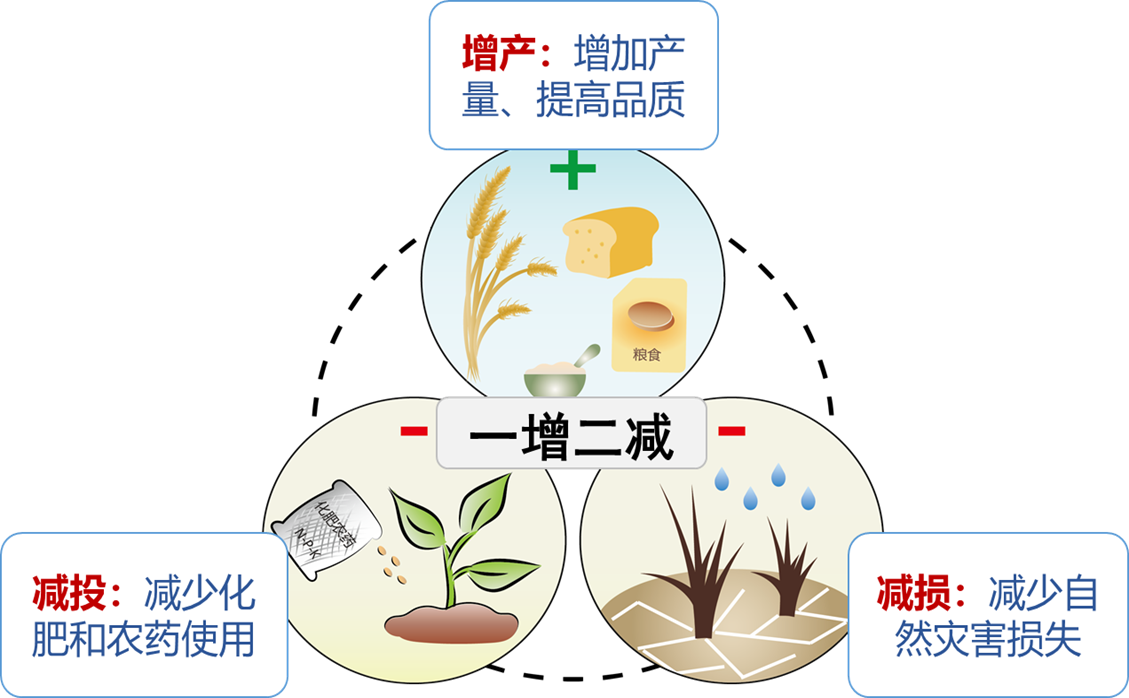 打造种业振兴的“中国芯”，让种子更“智慧”