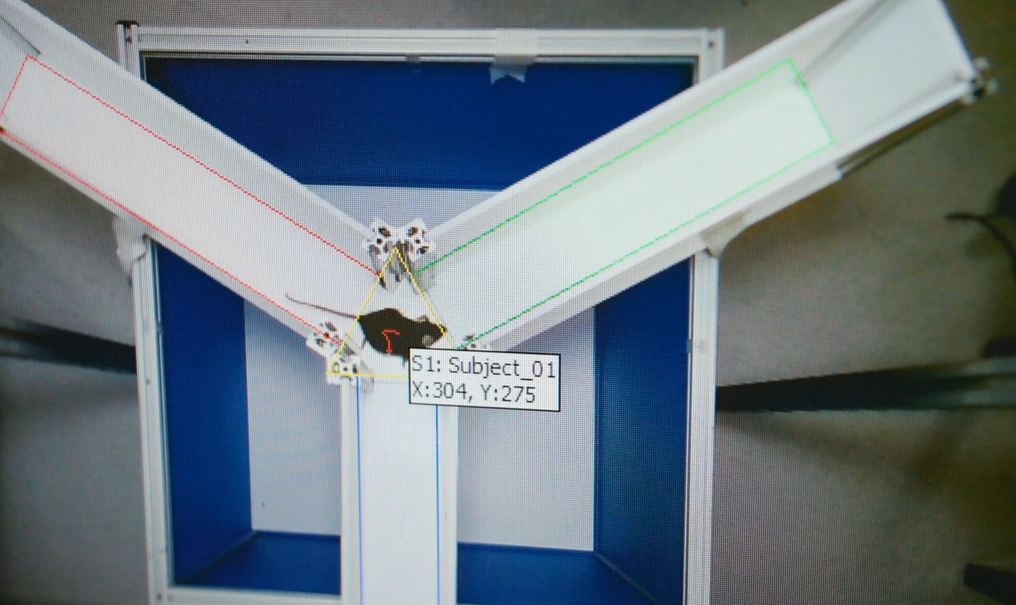 喜提“太空鼠二代”！关于飞天小鼠，你想知道的都在这里