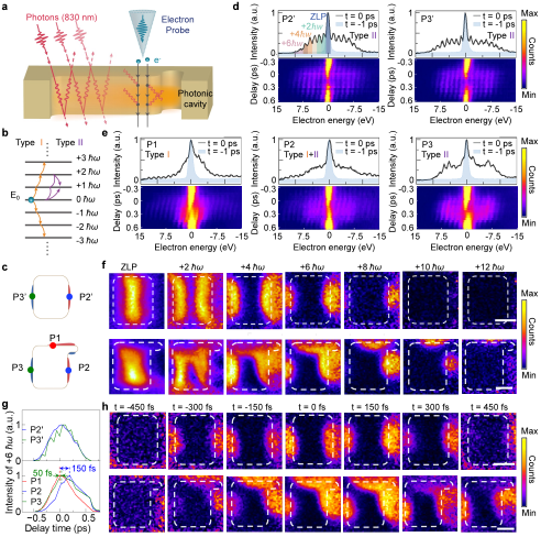 我国科学家用超快电子显微镜看清光场“变身”的微观玄机