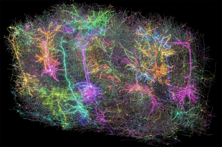 “两院院士评选2025年世界十大科技进展新闻”揭晓