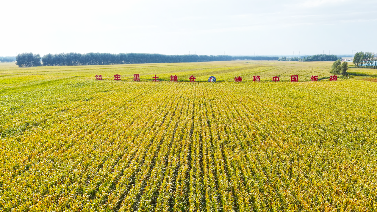 “两院院士评选2025年中国十大科技进展新闻”揭晓