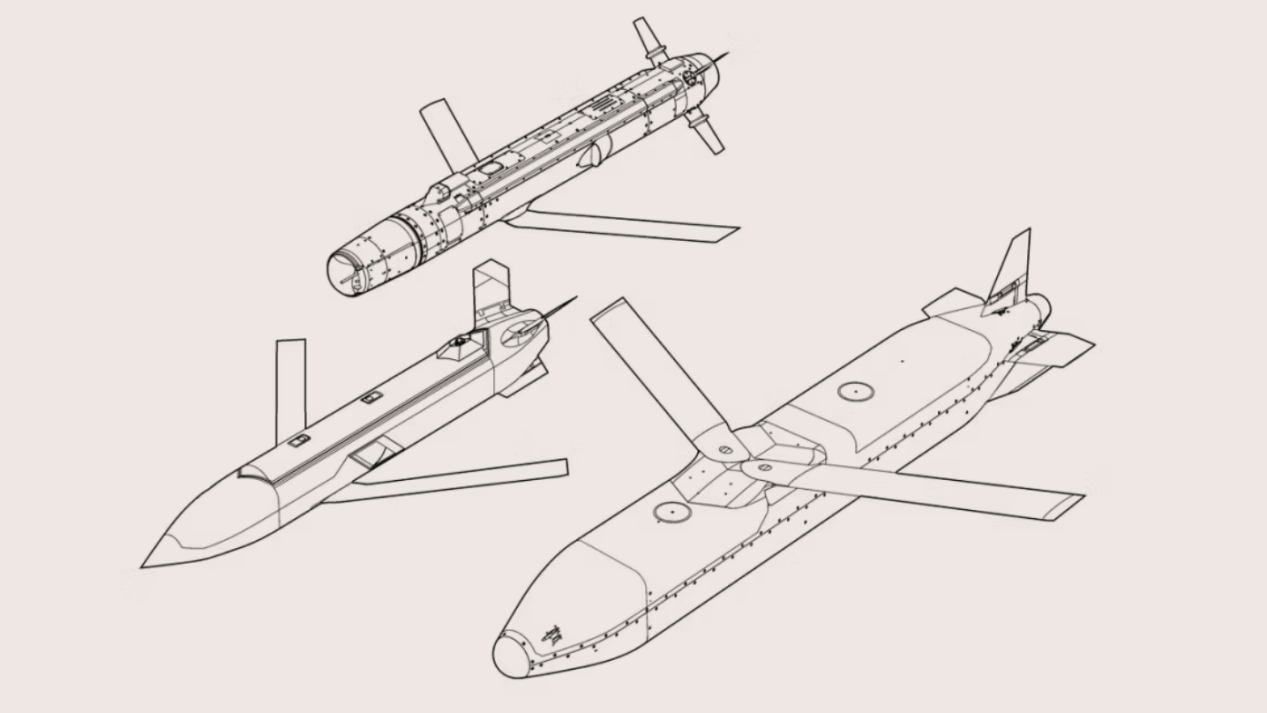 高性价比的新代表——“梭鱼”系列巡航导弹