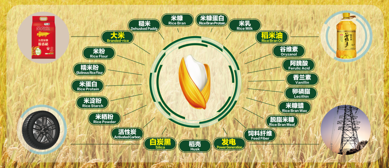 益海嘉里金龙鱼郭孔丰：推动粮油产业升级 助力农业强国建设