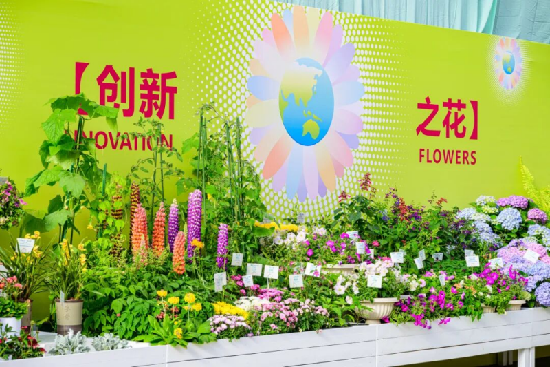 来北京国际鲜花港，和你交换一整个春天