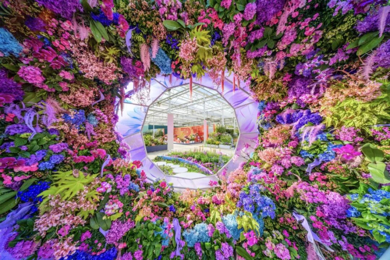 来北京国际鲜花港，和你交换一整个春天