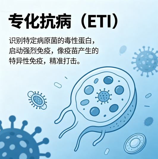 抗病与高产如何兼得？我国科学家给出全新答案