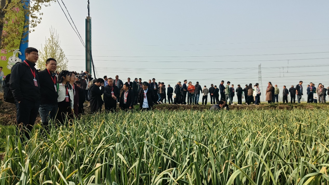 田间问诊把脉 科技护航好菜——2026年蔬菜绿色防控大会在兰陵举行