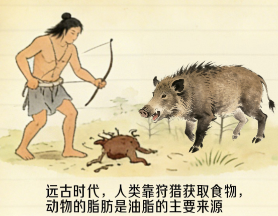 油豆奶的健康学问丨人类食用油脂的起源与早期发展