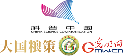 酷暑“烤”验水稻？这些基因让水稻“不怕热”