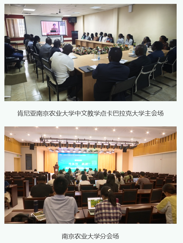 中国国际大学生创新大赛非洲区域赛专项训练营 中肯分会场同步开营 中国国际大学生创新大赛非洲区域赛专项训练营 中肯分会场同步开营