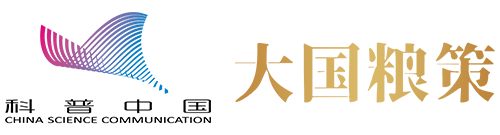 “扩增调”对症盐碱斑，德州千亩示范片交出硬核成绩单