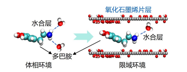 巧用“冰点差异”,我国科学家破解氧化石墨烯膜层间距控制难题 巧用“冰点差异”,我国科学家破解氧化石墨烯膜层间距控制难题