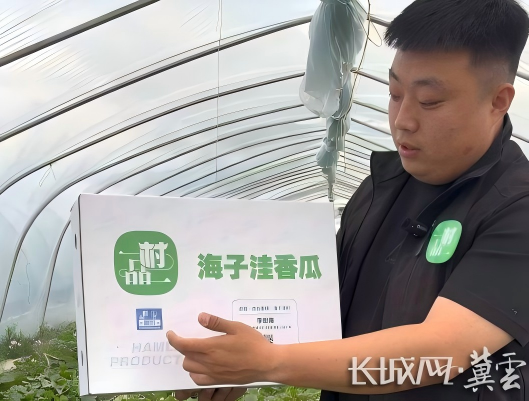 向新向上 河北力量丨给“长城村”插上数字的翅膀 向新向上 河北力量丨给“长城村”插上数字的翅膀