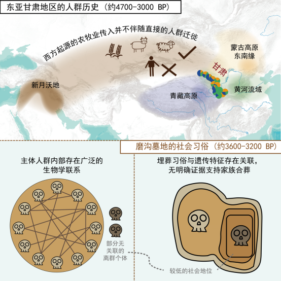 古DNA揭秘四千年前西北往事 古DNA揭秘四千年前西北往事