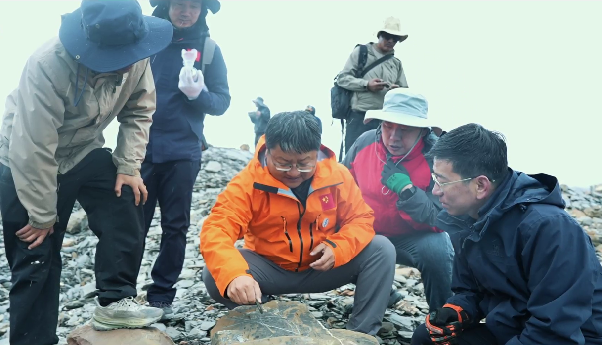 冰川脉动下的高原答卷——青藏高原冰湖链生灾害综合科学考察队纪实